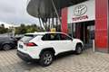 Toyota RAV 4 Rav4 2.5 vvt-ie h Active 2wd 218cv e-cvt Blanco - thumbnail 4