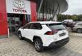 Toyota RAV 4 Rav4 2.5 vvt-ie h Active 2wd 218cv e-cvt Weiß - thumbnail 5