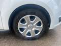 Ford Tourneo Courier 1,0 EcoBoost Start/Stop Trend Weiß - thumbnail 18