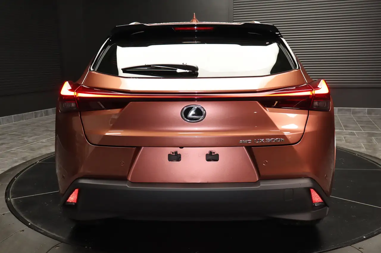 Lexus UX photo Lexus UX