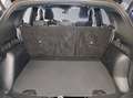 Ford Kuga ecoblue ST-Line 2wd  Automatica AUTOCARRO Blau - thumbnail 14