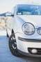 Volkswagen Polo Polo 5p 1.4 tdi Comfortline Grigio - thumbnail 14