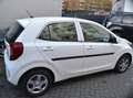 Kia Picanto 1.0 Edition 7 Sitz/Lenkradheizung Ganzj.Rei I Hand Wit - thumbnail 3