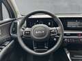 Kia Sorento PLATINUM 4WD 2.2 CRDi *PANORAMADACH*PREMIUM-PAKET* Weiß - thumbnail 16