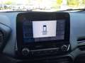 Ford EcoSport 1.0 ecoboost Active Pelle/CarPlay/Sensori/31000KM Bianco - thumbnail 14