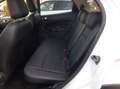 Ford EcoSport 1.0 ecoboost Active Pelle/CarPlay/Sensori/31000KM Bianco - thumbnail 8