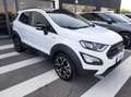Ford EcoSport 1.0 ecoboost Active Pelle/CarPlay/Sensori/31000KM Bianco - thumbnail 2