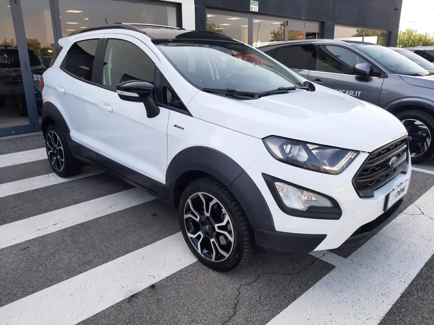 Ford EcoSport 1.0 ecoboost Active Pelle/CarPlay/Sensori/31000KM Bianco - 2