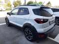 Ford EcoSport 1.0 ecoboost Active Pelle/CarPlay/Sensori/31000KM Bianco - thumbnail 4