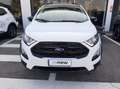 Ford EcoSport 1.0 ecoboost Active Pelle/CarPlay/Sensori/31000KM Bianco - thumbnail 6