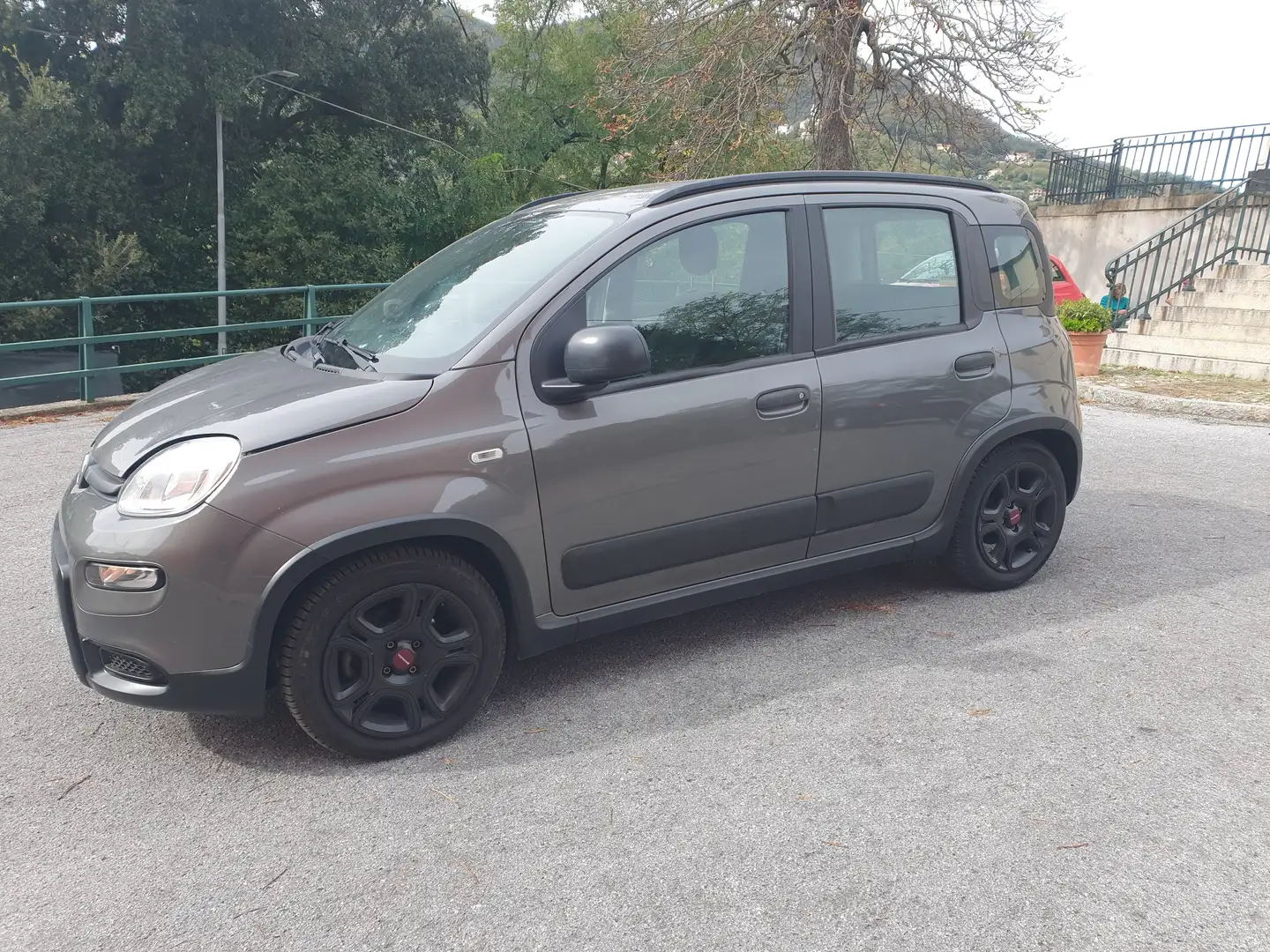 Fiat Panda Grau - 2