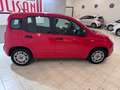 Fiat Panda 1.0 FireFly S&S Hybrid City Life Rouge - thumbnail 7