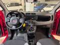 Fiat Panda 1.0 FireFly S&S Hybrid City Life Rouge - thumbnail 11