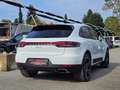 Porsche Macan Macan II BLACKLINE Blanc - thumbnail 8