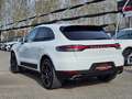 Porsche Macan Macan II BLACKLINE Blanco - thumbnail 11