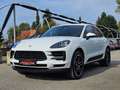 Porsche Macan Macan II BLACKLINE Bianco - thumbnail 5