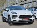 Porsche Macan Macan II BLACKLINE Blanc - thumbnail 2