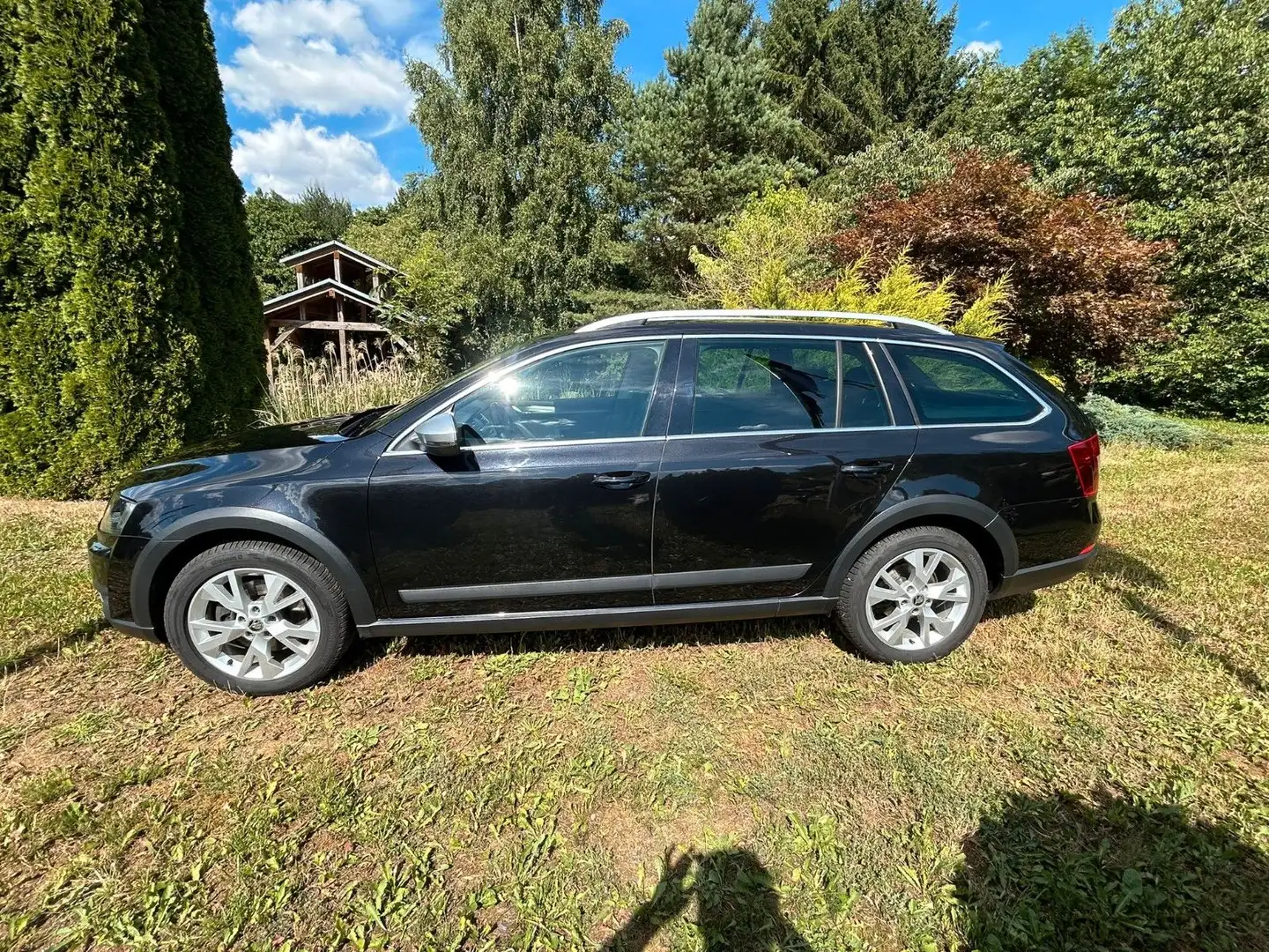 Skoda Octavia 2.0 TDI Green tec DSG 4x4 Scout Combi Schwarz - 2