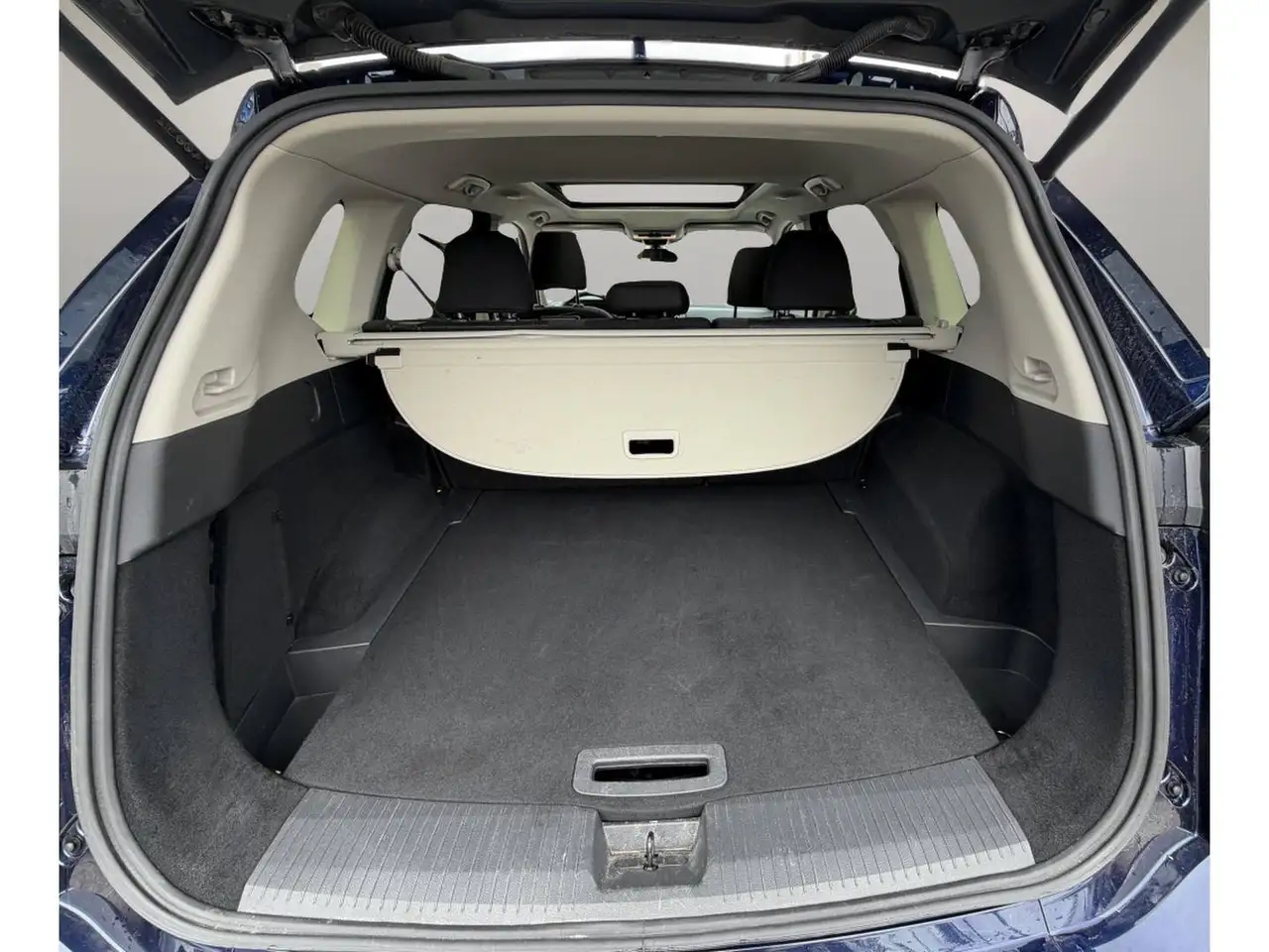 Nissan Rogue fotografie Nissan Rogue
