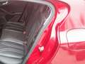 Ford Focus Focus 1.0 EcoBoost  Aut VIGNALE !!! NIEUWSTAAT !!! Rouge - thumbnail 7