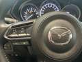 Mazda CX-5 Kangei 165 PS *AWD*Automatik*LED* Kangei AWD Grau - thumbnail 13