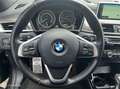 BMW X1 xDrive20i High Executive Negro - thumbnail 12