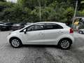 Kia Rio 1.2i  EASY - AIRCO - GARANTIE Blanc - thumbnail 9