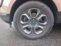 Ford EcoSport 1,0 EcoBoost Trend ALU+SITZHEIZUNG Beige - thumbnail 21