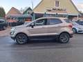 Ford EcoSport 1,0 EcoBoost Trend ALU+SITZHEIZUNG Beige - thumbnail 5