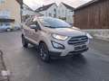 Ford EcoSport 1,0 EcoBoost Trend ALU+SITZHEIZUNG Beige - thumbnail 4