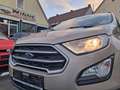 Ford EcoSport 1,0 EcoBoost Trend ALU+SITZHEIZUNG Beige - thumbnail 20