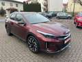 Kia XCeed Nightline Edition Braun - thumbnail 7