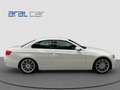 BMW 320 320I Cabrio Attiva 170 CV BENZINA Wit - thumbnail 25