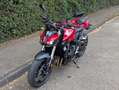Honda Hornet CB 1000 Hornet Rosso - thumbnail 5