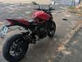 Honda Hornet CB 1000 Hornet Rosso - thumbnail 9