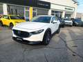 Mazda CX-30 m-hybrid Exclusive Leather Pack White2wd 186cv 6at Weiß - thumbnail 3