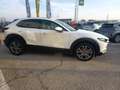 Mazda CX-30 m-hybrid Exclusive Leather Pack White2wd 186cv 6at Weiß - thumbnail 7