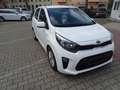 Kia Picanto 1.0 Dream Team Automatik KIA Werks Garantie Weiß - thumbnail 6
