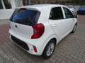 Kia Picanto 1.0 Dream Team Automatik KIA Werks Garantie Weiß - thumbnail 5