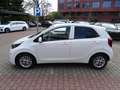 Kia Picanto 1.0 Dream Team Automatik KIA Werks Garantie Weiß - thumbnail 3