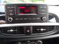 Kia Picanto 1.0 Dream Team Automatik KIA Werks Garantie Weiß - thumbnail 11