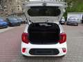 Kia Picanto 1.0 Dream Team Automatik KIA Werks Garantie Weiß - thumbnail 7