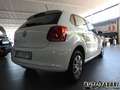 Volkswagen Polo VOLKSWAGEN -  - 1.2 60CV 5p. Trendline Climati Alb - thumbnail 5