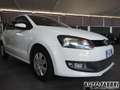 Volkswagen Polo VOLKSWAGEN -  - 1.2 60CV 5p. Trendline Climati Alb - thumbnail 3