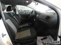 Volkswagen Polo VOLKSWAGEN -  - 1.2 60CV 5p. Trendline Climati Alb - thumbnail 14