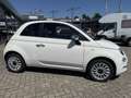 Fiat 500 C 1.0 GSE Hybrid Dolcevita Weiß - thumbnail 4