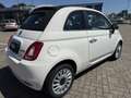 Fiat 500 C 1.0 GSE Hybrid Dolcevita Weiß - thumbnail 5