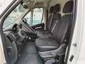 Peugeot Boxer 35+ L2H2 37 kWh Weiß - thumbnail 9