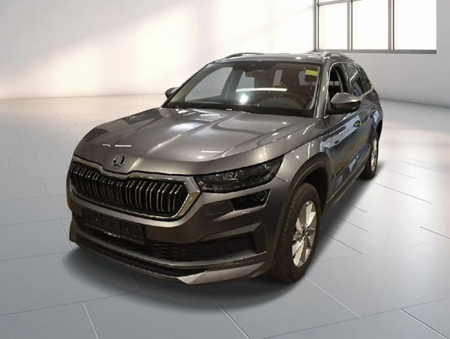 Skoda Kodiaq 2.0 TDI 4x4 L&K Leder Navi vc LED RFK Grau - 1