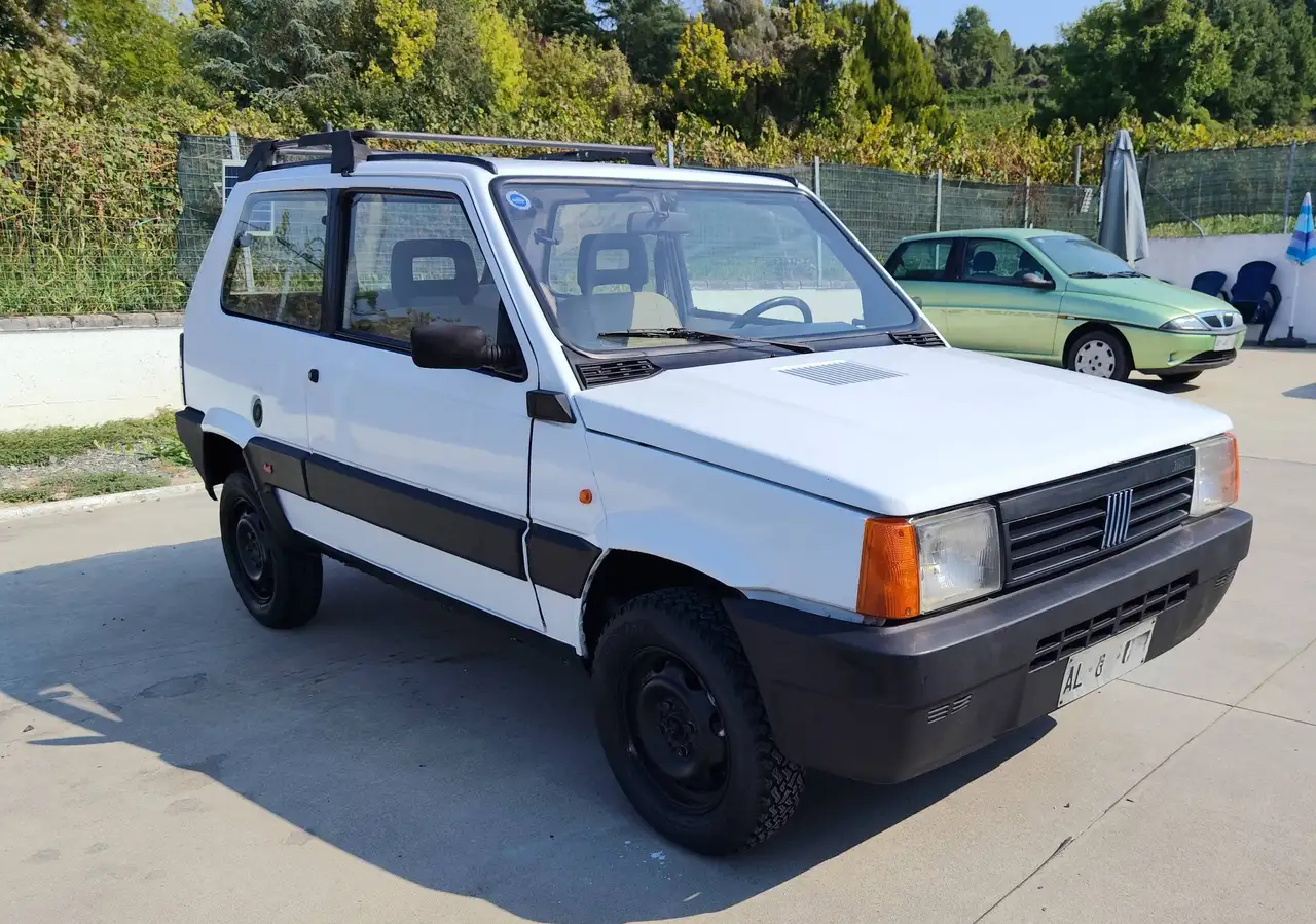 Fiat Panda 1.0 Davignon 4x4 cat., foto 7